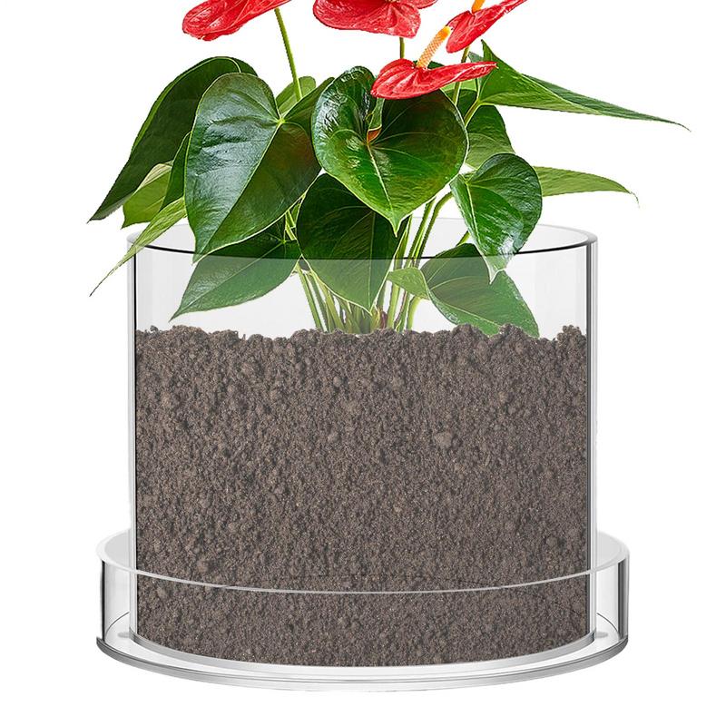 Aloe Vera Pot - Clear Plant Pots With Drainage Clear