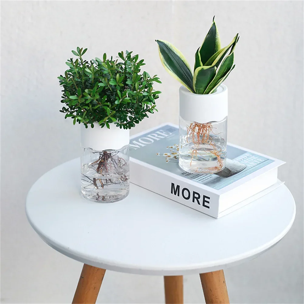 Mini Hydroponic Flower Pot Tra - Aloe Vera Pot ulasan dan harga