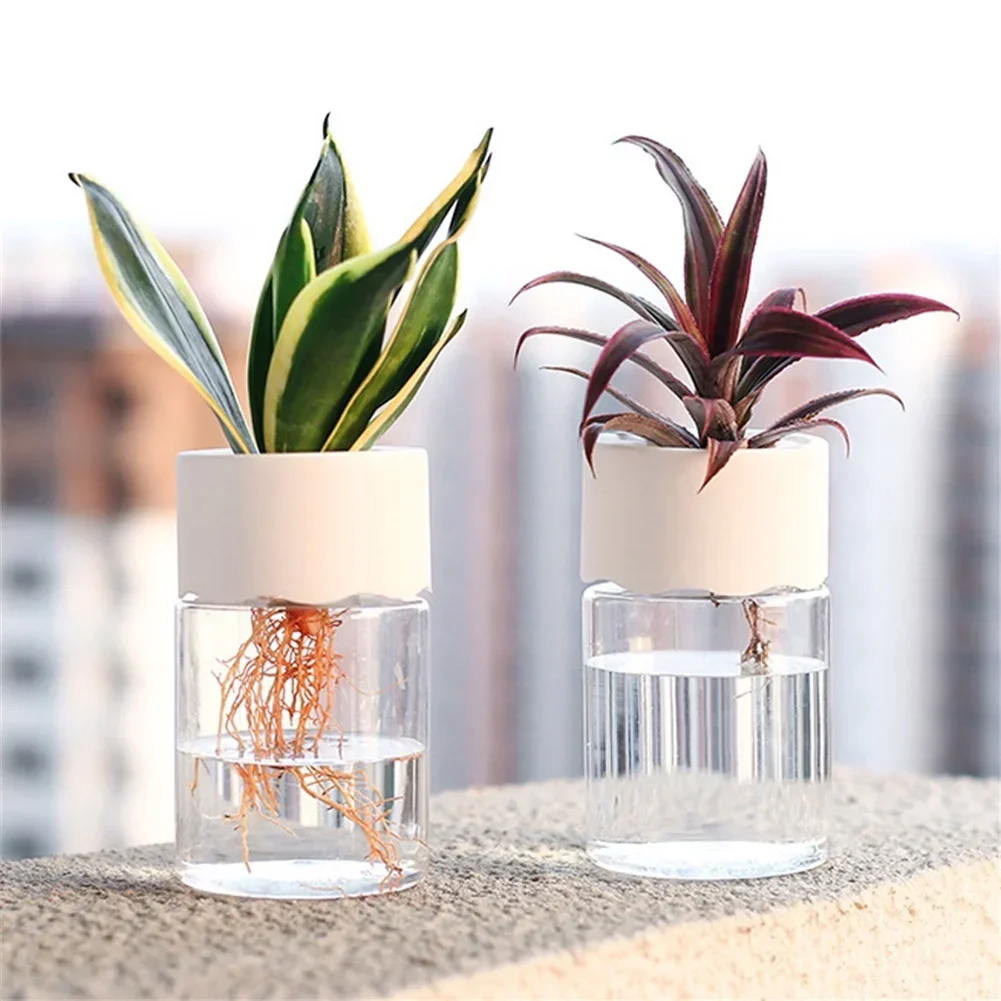 Mini Hydroponic Flower Pot Tra - Aloe Vera Pot ulasan dan harga