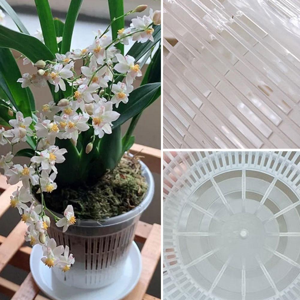 Mesh Pot Root Control Transpar - Aloe Vera Pot ulasan dan harga