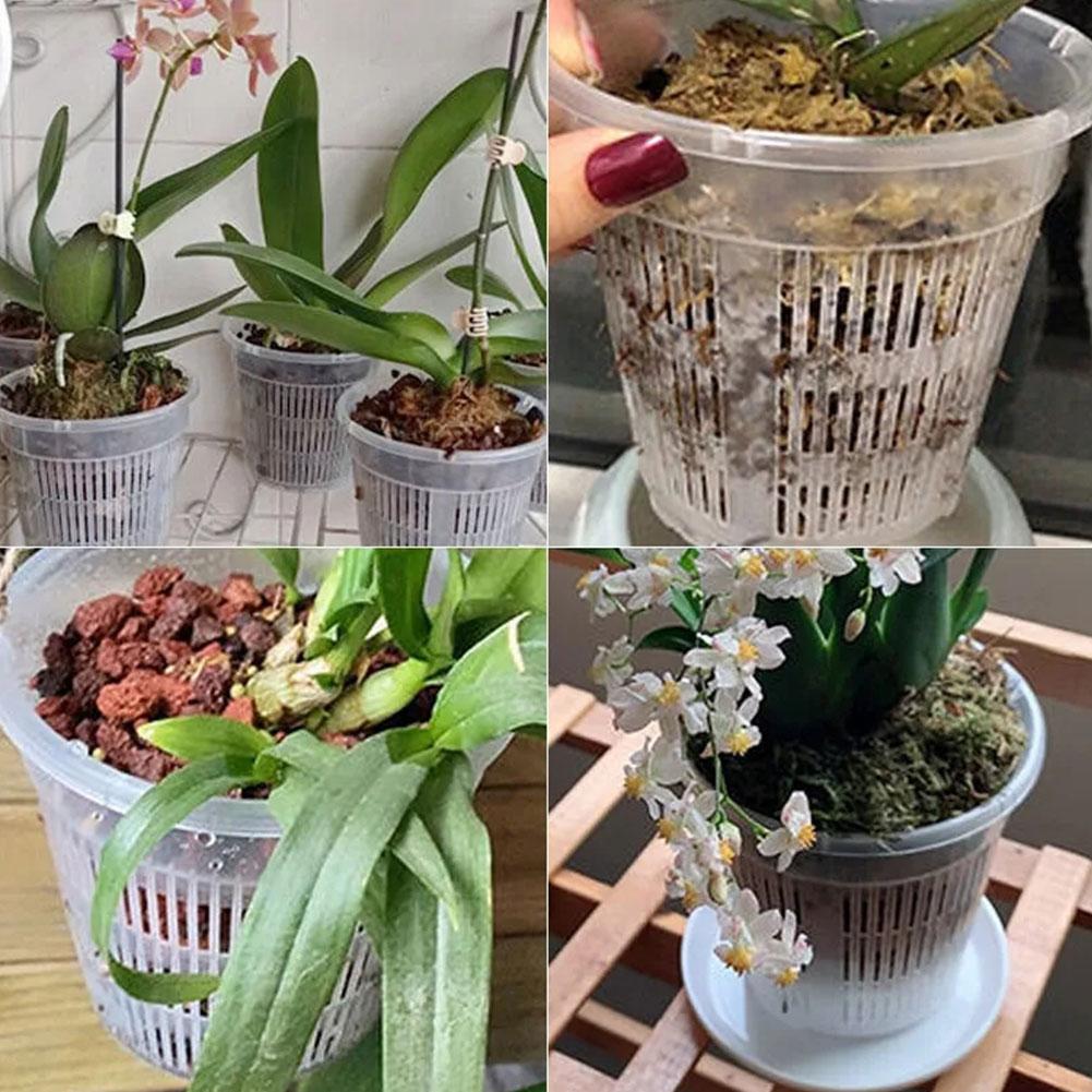 Mesh Pot Root Control Transpar - Aloe Vera Pot ulasan dan harga