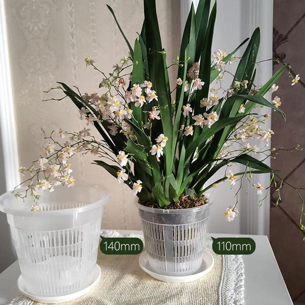 Mesh Pot Root Control Transpar - Aloe Vera Pot ulasan dan harga