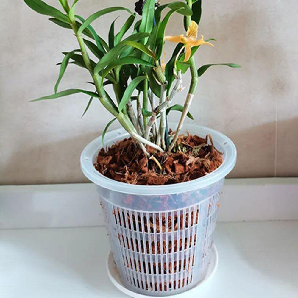 Mesh Pot Root Control Transpar - Aloe Vera Pot ulasan dan harga