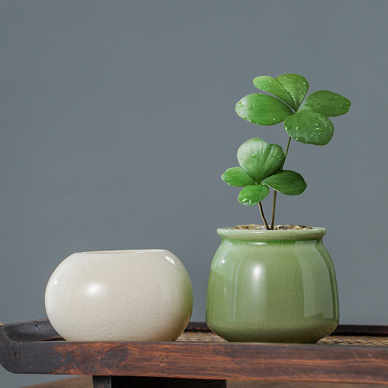 Ice Crack Glazed Ceramic Flowe - Aloe Vera Pot ulasan dan harga