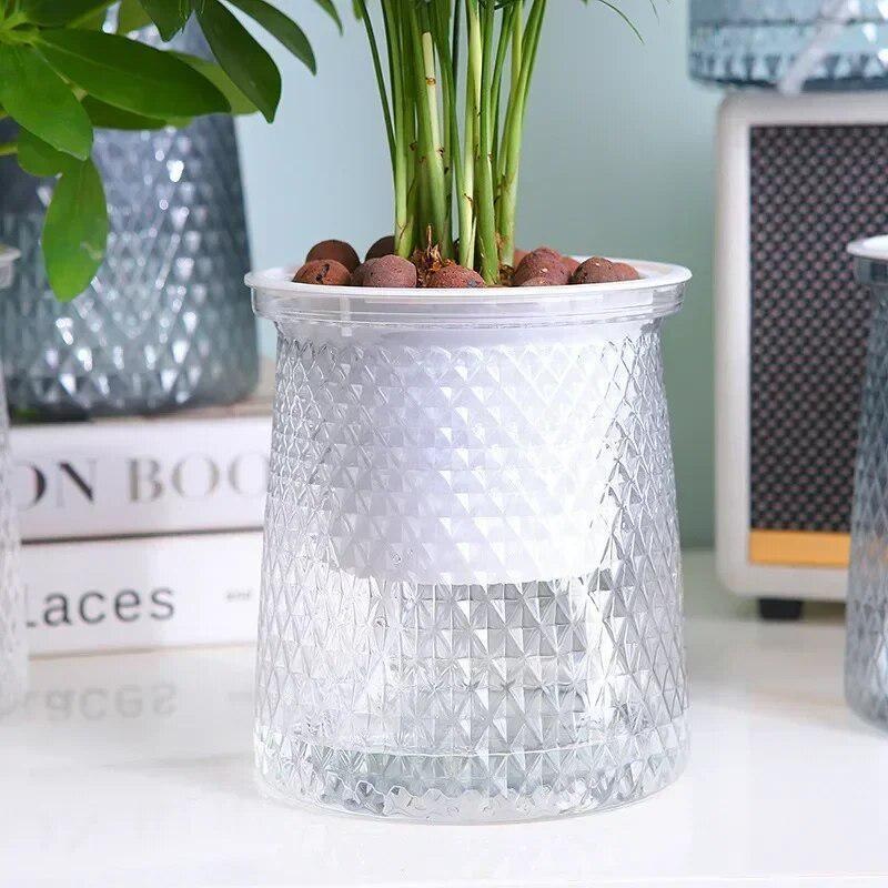 2024 Transparent Self Watering - Aloe Vera Pot ulasan dan harga