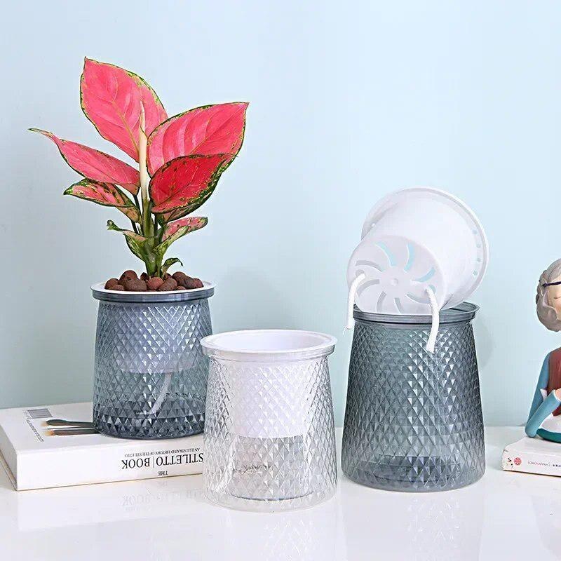 2024 Transparent Self Watering - Aloe Vera Pot ulasan dan harga