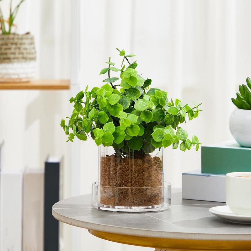 Clear Plant Pots With Drainage - Aloe Vera Pot ulasan dan harga