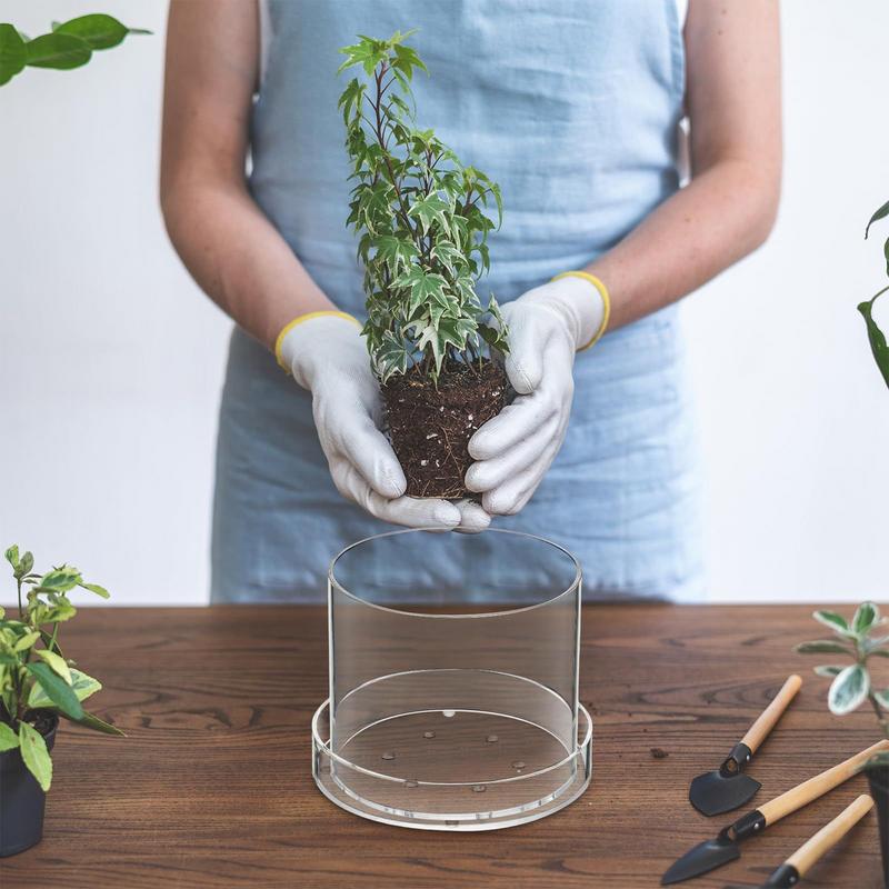 Clear Plant Pots With Drainage - Aloe Vera Pot ulasan dan harga