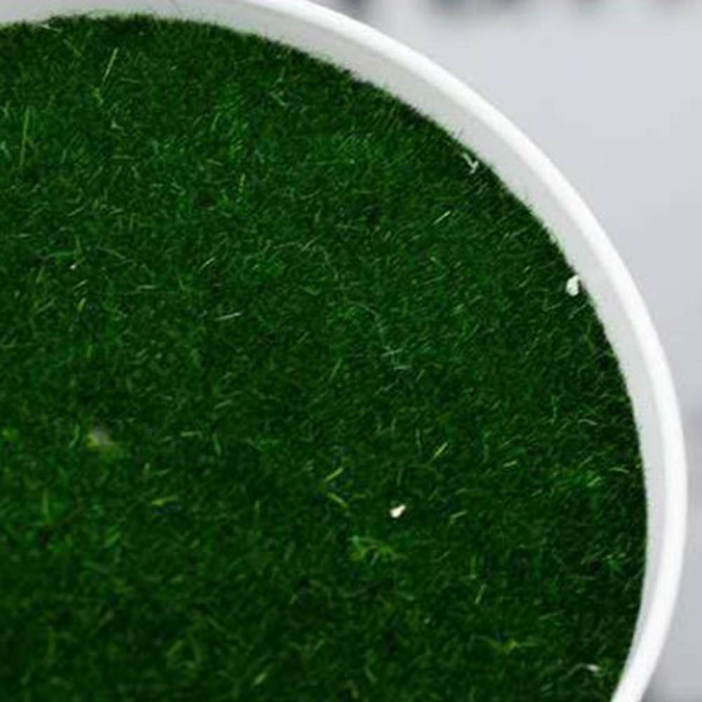 Artificial Pot Plants Pot Nurs - Aloe Vera Pot ulasan dan harga