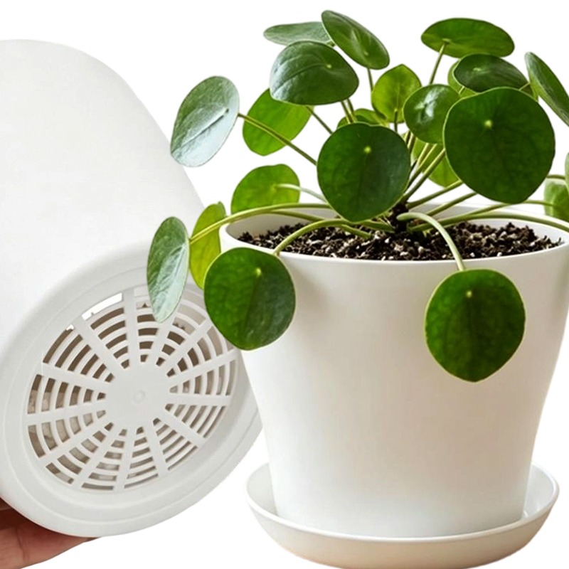 Plant Pot Set with Drainage Ho - Aloe Vera Pot ulasan dan harga
