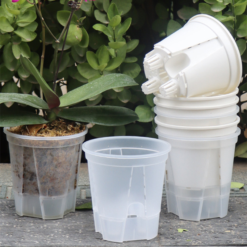 5pcs Transparent Orchid Pot wi - Aloe Vera Pot ulasan dan harga