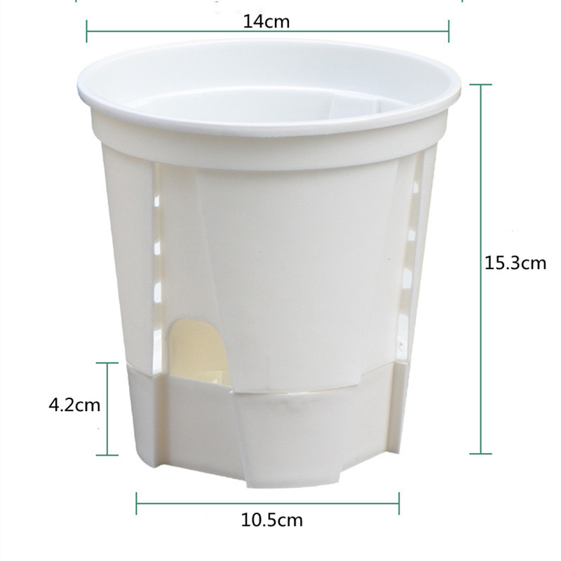 5pcs Transparent Orchid Pot wi - Aloe Vera Pot ulasan dan harga
